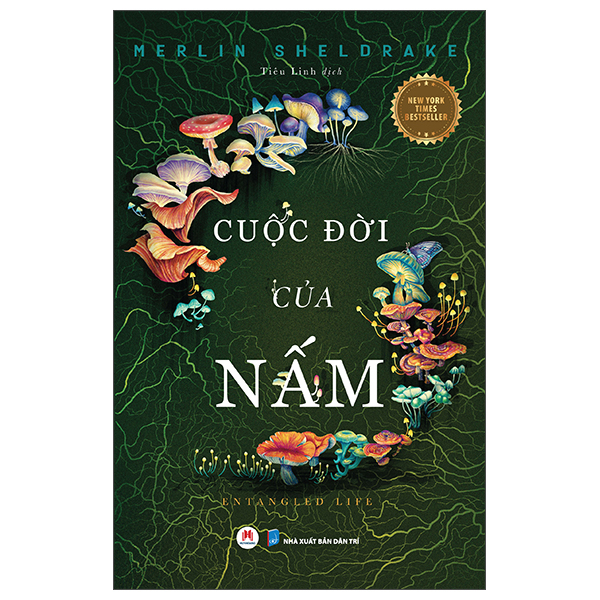 Cuộc Đời Của Nấm - Entangled Life